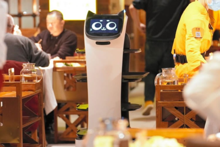ネコ型配膳ロボット　販売パートナー募集