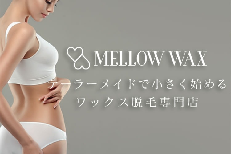 「大阪府 ワックス脱毛サロン」引き継ぎオーナー募集